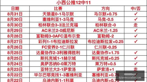 德国足球：巨星时代终结，传统辉煌或难再现